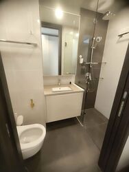The Lilium (D19), Condominium #527333051